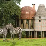 Bij veel lodges in Tanzania wordt het gazon netjes gehouden door grazende zebra's - altijd leuk voor de kinderen!