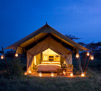 Tanzania Honeymoon