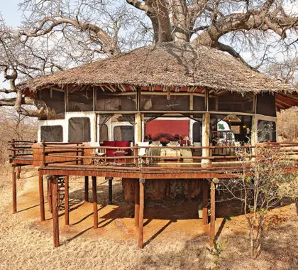 Tarangire_Treetops_Suiteexterior