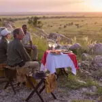 Bebidas después de un safari.