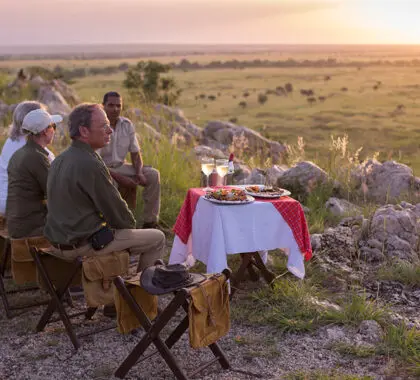 Bebidas después de un safari.