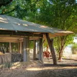 The camp is set in a grove of trees and bushes overlooking a busy waterhole.
