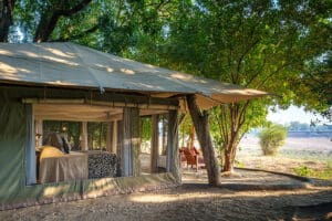 The camp is set in a grove of trees and bushes overlooking a busy waterhole.