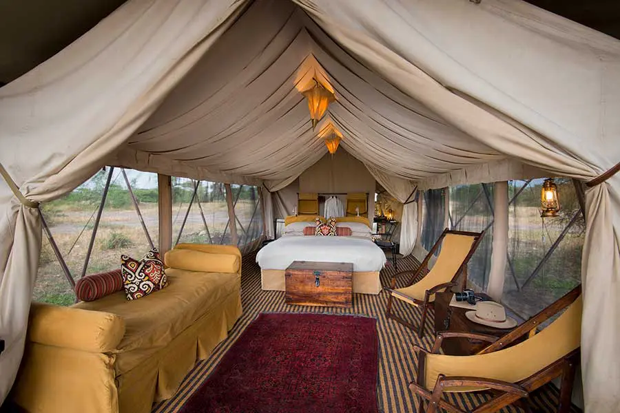 Tienda-interior-y-más-allá-del-Serengeti-bajo-la-cubierta