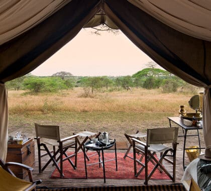 Tent-veranda-andBeyond-Serengeti-Under-Canvas