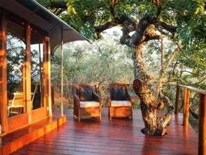 Líneas arquitectónicas suaves y limpias se combinan con elementos de diseño extravagantes para crear un ambiente único.