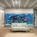 Fish tank and entrainment 