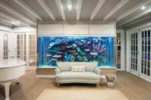 Fish tank and entrainment 