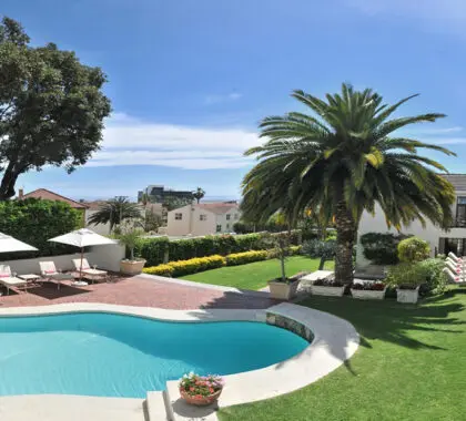 View of the garden.