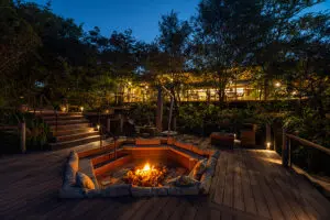 Evenings at The Elephant Camp. 
