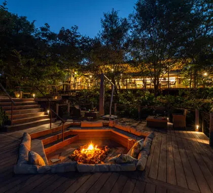 Evenings at The Elephant Camp. 