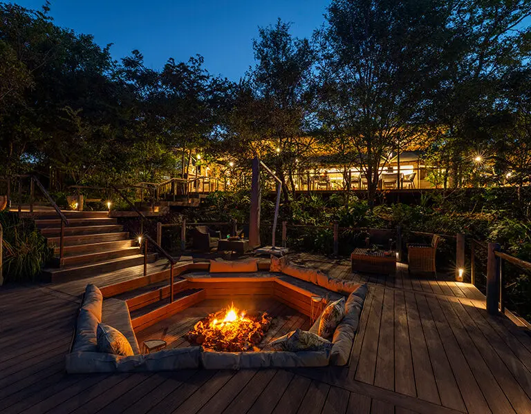 Evenings at The Elephant Camp. 