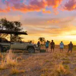 Game drives and sundowners | The Elephant Camp