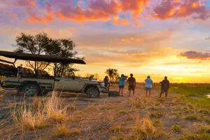 Game drives and sundowners | The Elephant Camp