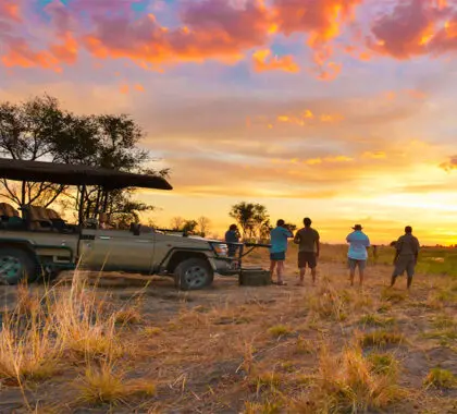 Game drives and sundowners | The Elephant Camp
