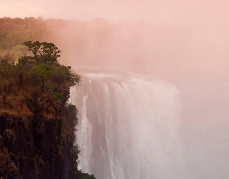 the-elephant-camp-vic-falls