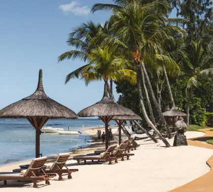 Soak up the sun on one of the perfectly positioned lounger chairs.