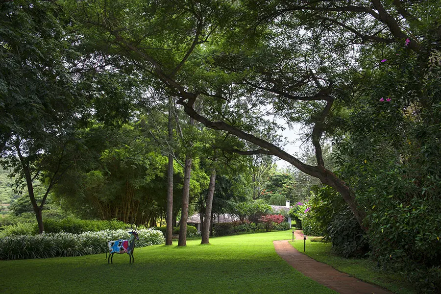Sumérjase en la tranquilidad de los cuidados jardines.