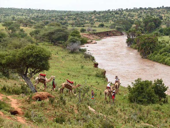A camel-back safari along the river takes you to a shady spot where your lunch is waiting for you.
