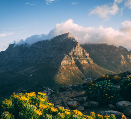 Cape Town - a nature lover's dream
