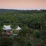 Vista aérea del campamento de elefantes.