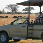 Exciting and insightful game drives.