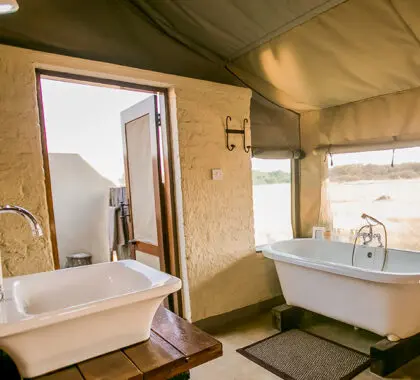 Baño encantador y encantador.