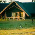 Set in Zimbabwe's flagship Hwange National Park.