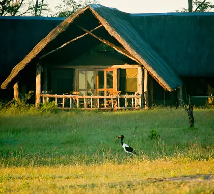 Situado en el emblemático Parque Nacional Hwange de Zimbabue.