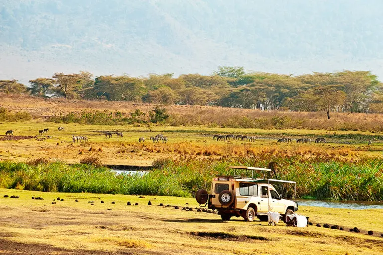 Pleasing game drives.