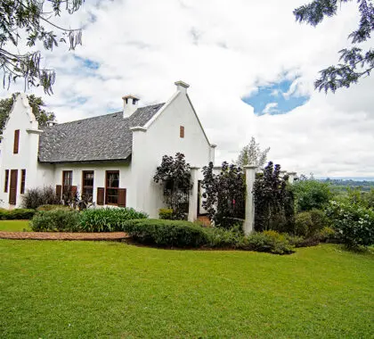 Aerial view of the Manor.