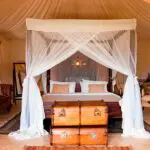 There's an elegant air to Cheli & Peacock's Cottar's 1920's Camp, set in the Masai Mara.