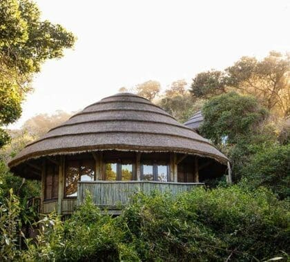 Thonga-Beach-Lodge-Forest-Room