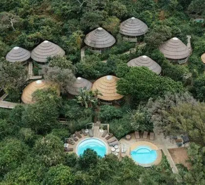 Aerial view of Thonga Beach Lodge.