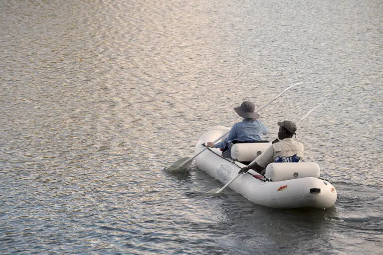 Water-based safari activities.