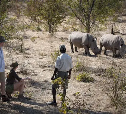 Safaris a pie guiados por el Parque Nacional de Mosi au Tunya.