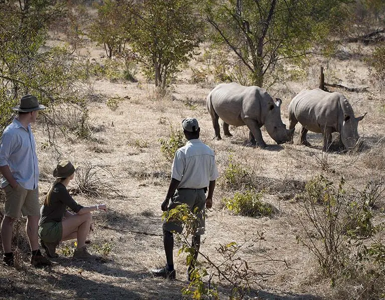 Guided walking safaris in Mosi au Tunya National Park.