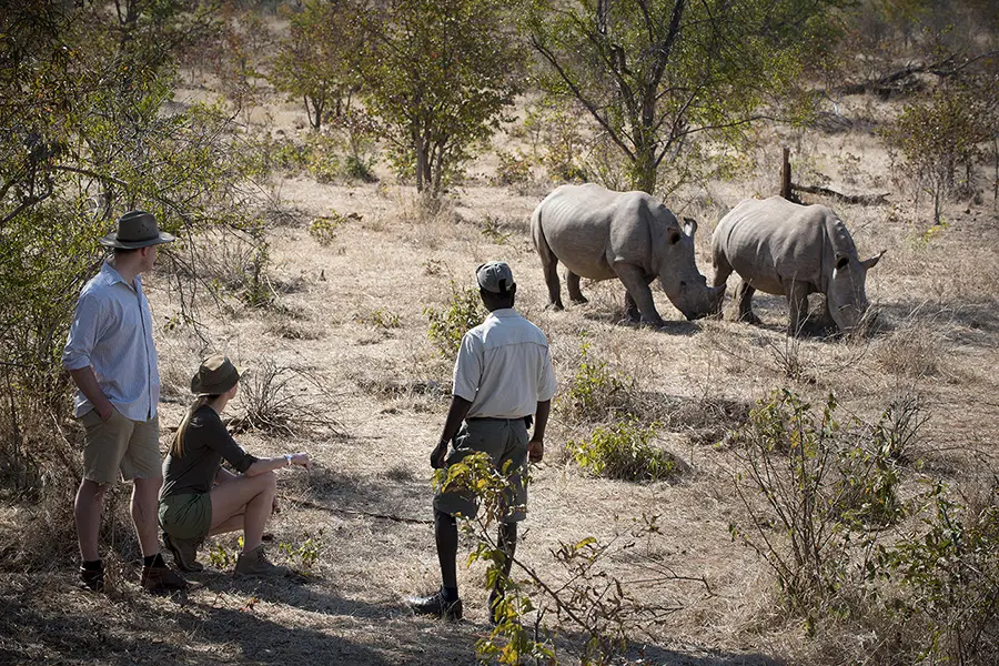 Safaris a pie guiados por el Parque Nacional de Mosi au Tunya.