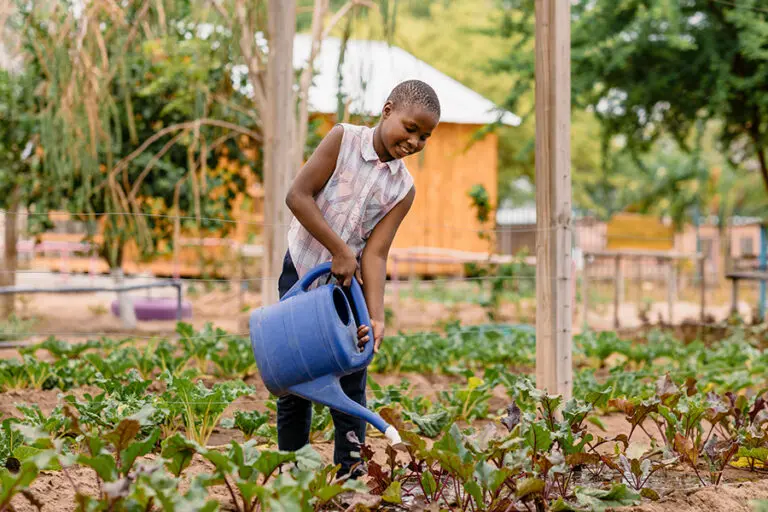 proyecto-comunitario-de-espinar-3