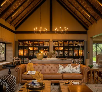 La biblioteca del Thornybush Game Lodge.
