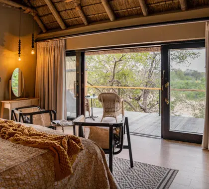 Thornybush-Game-Lodge---Room-