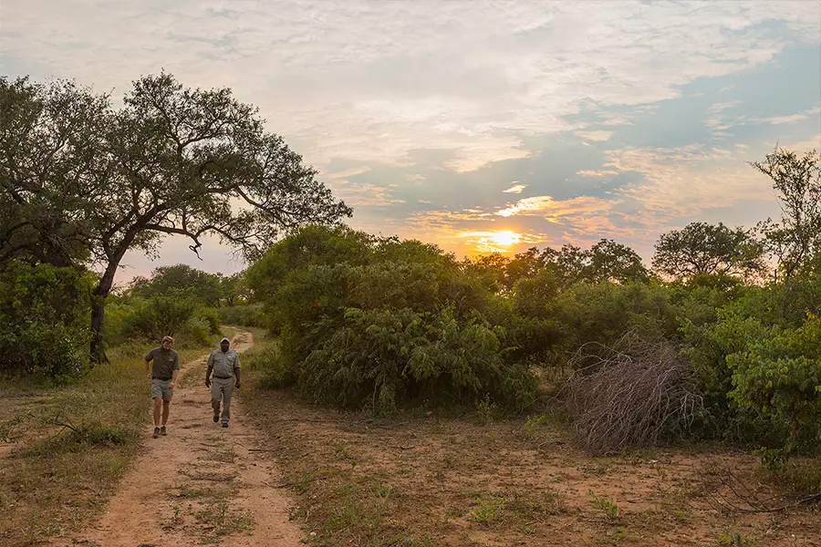Paseos guiados por la sabana.