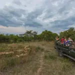 Recorrido de caza y fauna salvaje.