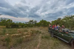 Recorrido de caza y fauna salvaje.
