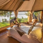 Suite Chongwe Albida.