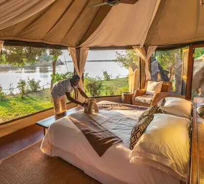 Suite Chongwe Albida.