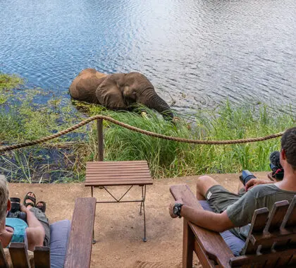 Watch the animals that pass through the river infront of your tent.