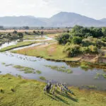 Canoe safaris.