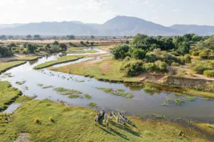 Canoe safaris.