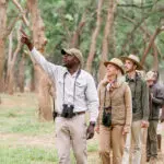 walking safaris.